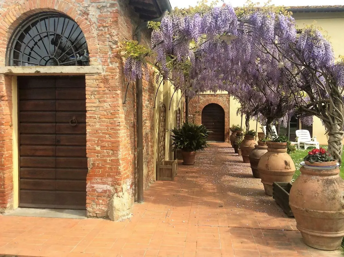 Bed And Breakfast Queen Pisa Italy