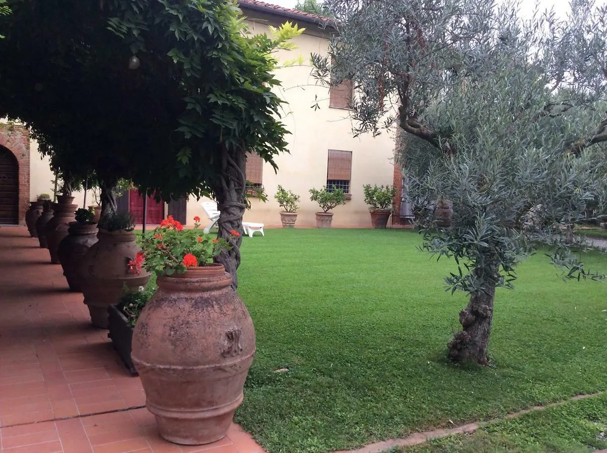 Bed & Breakfast Bed And Breakfast Queen Pisa